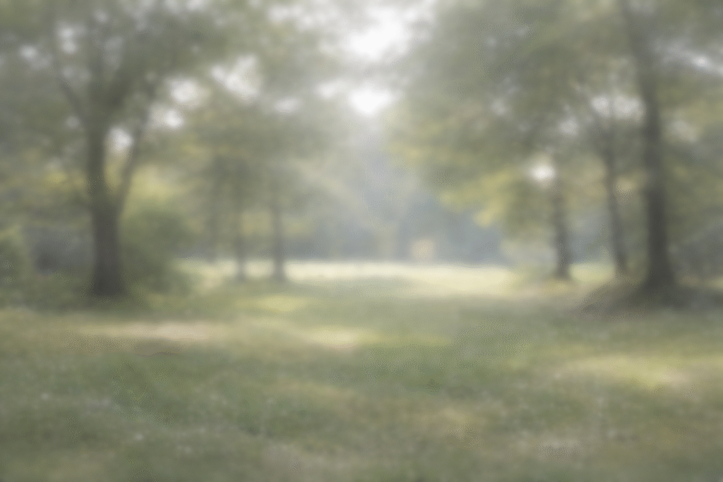 тьмяні кольори